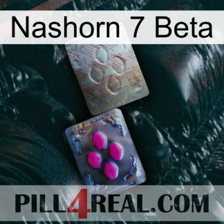 Rhino 7 Beta 38